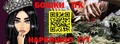 индика Балахна