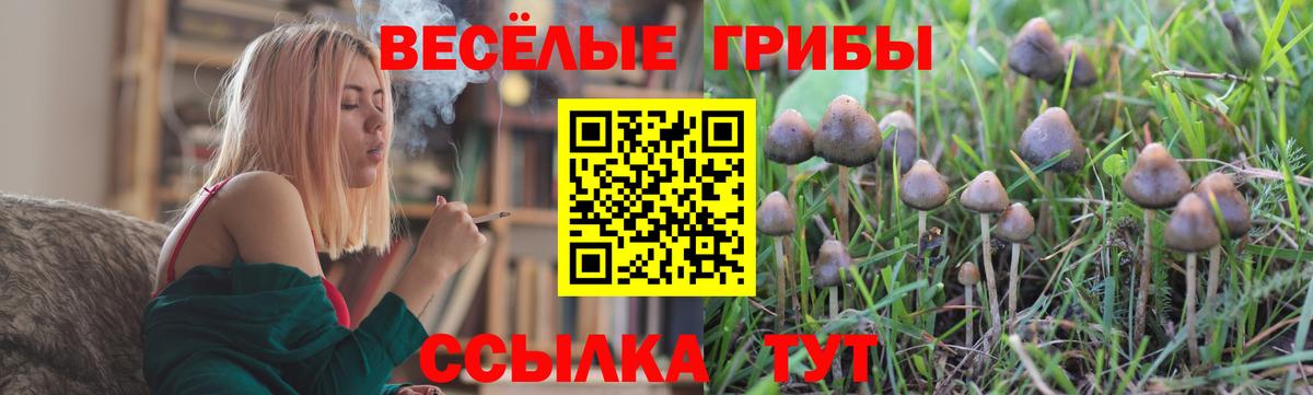 купить наркоту  Вход с VPN  Дмитров  Псилоцибиновые грибы мицелий  Галлюциногенные грибы прущие грибы 